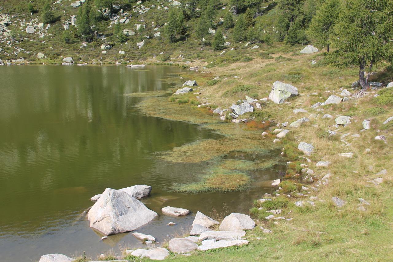 Rifugio Viviani Pradalago Мадона ди Кампильо Екстериор снимка