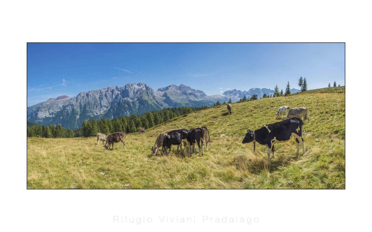 Rifugio Viviani Pradalago Мадона ди Кампильо Екстериор снимка